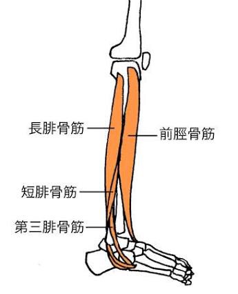 かもね かもね 恋かもね 日常生活で疲れた時は エクササイズで心のリセット 素敵な自分で 次の一歩へ