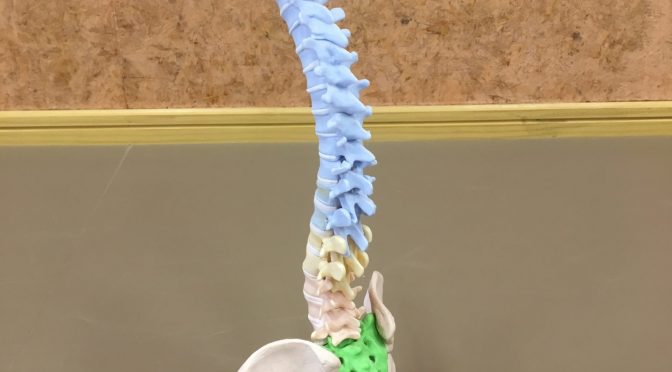 Let’s Challenge🐈