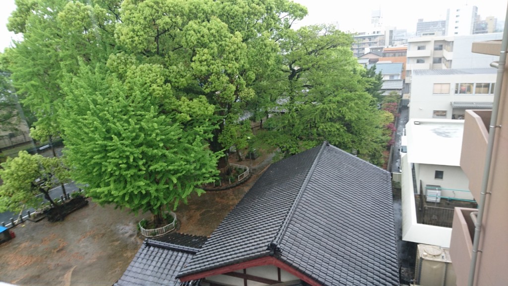 160421雨 (1280x720)
