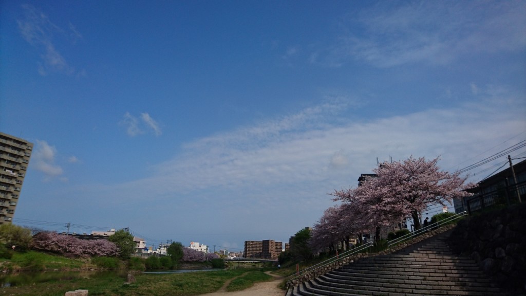 160405さくらと空 (1280x720)