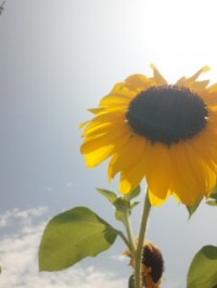 110811_1255~01.jpg