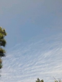 121009_0842~01.jpg