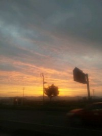 130724_1906~01.jpg