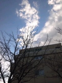 SH3L31310001.jpg