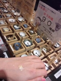 SH3L32350001.jpg