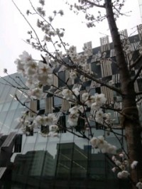 140404_1204~01.jpg