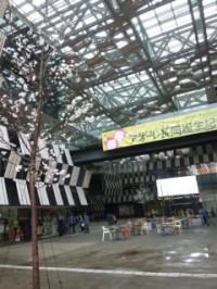 SH3L34590001.jpg
