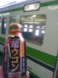 SH3L37650001.jpg