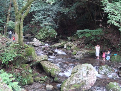 dsc00974