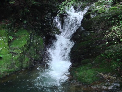 dsc00978