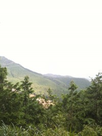 IMG_7128.jpg