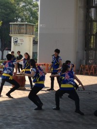 IMG_9020.jpg