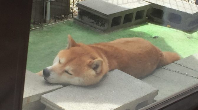 早いものですね