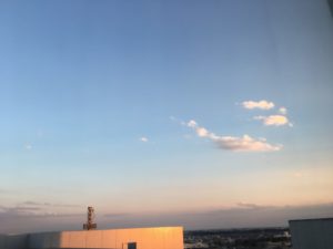 IMG_1352