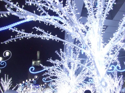 DSCF7426