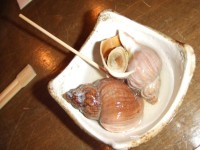 DSCF7739_800x600