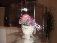 DSCF7798_800x600