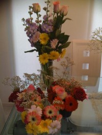 IMG_6100_450x600