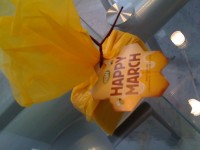 IMG_6117_800x600