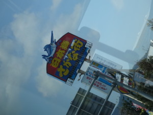 DSC03654