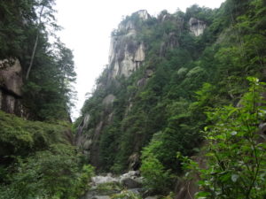 DSC05953