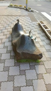 13240114_950831358348978_7179044991863845461_n