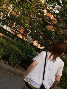 13254847_950831255015655_440441714508128930_o