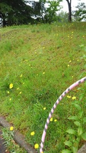 13256375_951844074914373_6430045773752350004_n