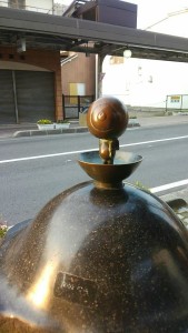 13267744_950831308348983_545550670903273882_n