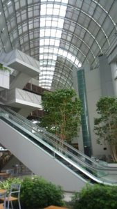 13770353_980638972034883_4923465227338385051_n