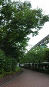 13770447_980639008701546_665349769728850484_n