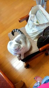 13912479_990286771070103_7233463479225741251_n