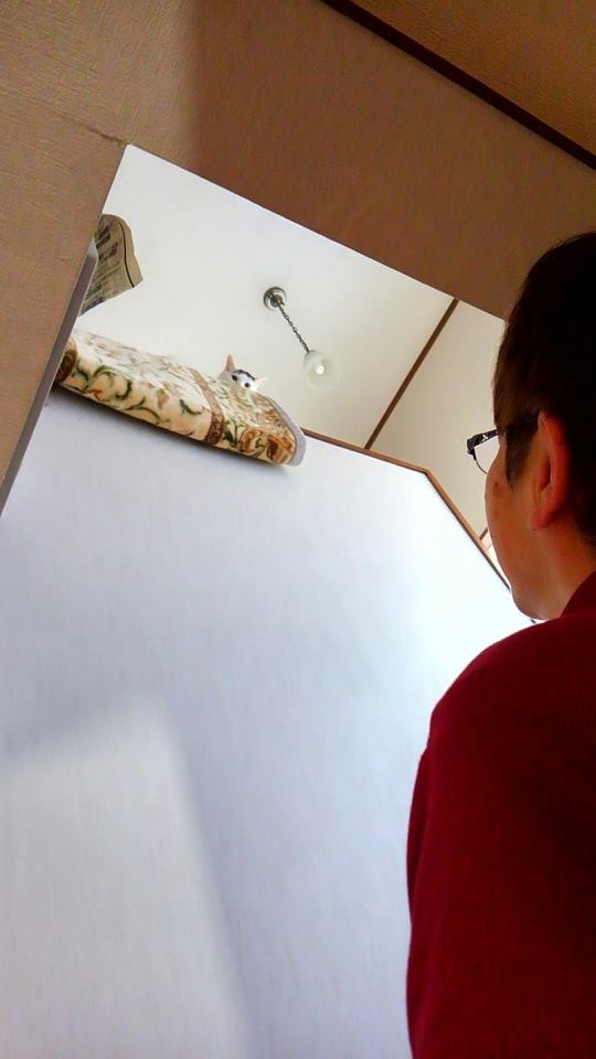 14947695_1071254186306694_9070873124548399408_n