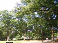 DSC_1076.jpg
