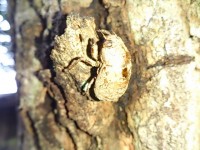 DSC_1126.jpg