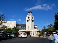 DSC_1198.jpg