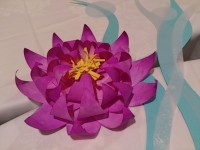 DSC_1988.jpg