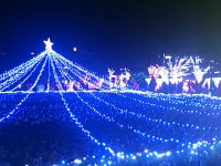 DSC_2587.jpg