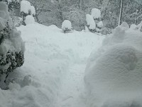 DSC_2501.jpg