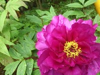 DSC_3107.jpg