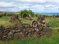 DSC_1062.jpg