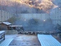 DSC_1193.jpg