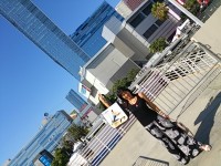 DSC_2541_2.jpg