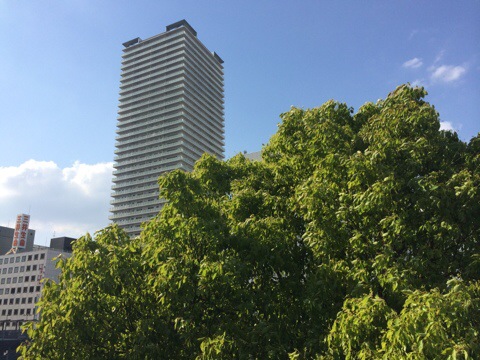 20140515-220352.jpg