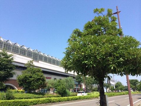 20140716-164141-60101638.jpg