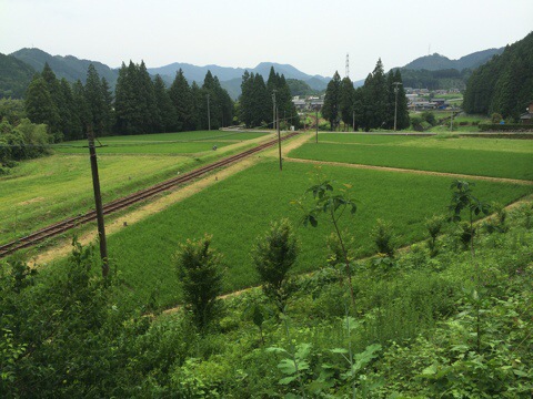 20140719-221727-80247822.jpg