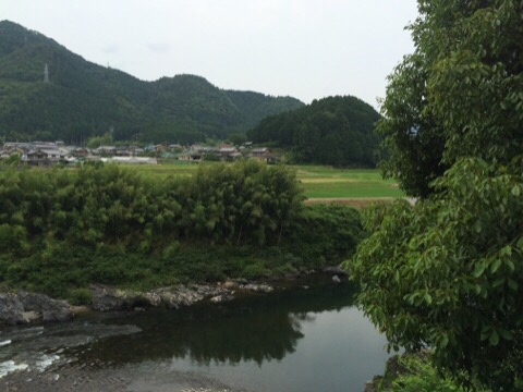 IMG_4025.JPG