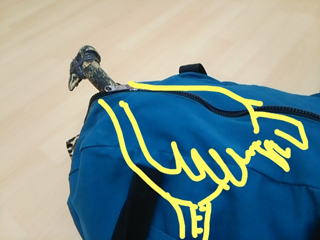 2016-05-13-21-52-58_deco