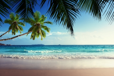 emerald_sea_paradise_sunshine_beach_sky_tropical_blue_coast_2560x1600-400x270-MM-100