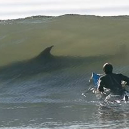 rankingshare-89106e30069411e5a5e006e0b9b52e4fd0bc0dde1c5fa10b2a